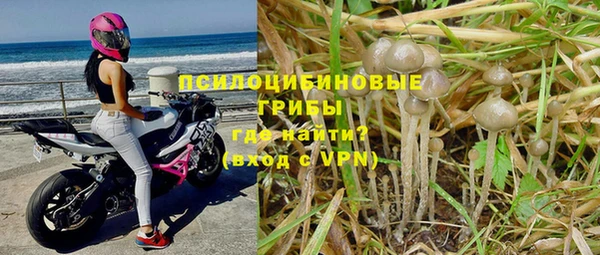 бутират Козловка