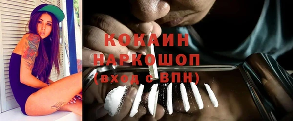прущие грибы Киреевск