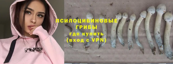 прущие грибы Киреевск