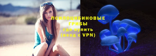 прущие грибы Киреевск