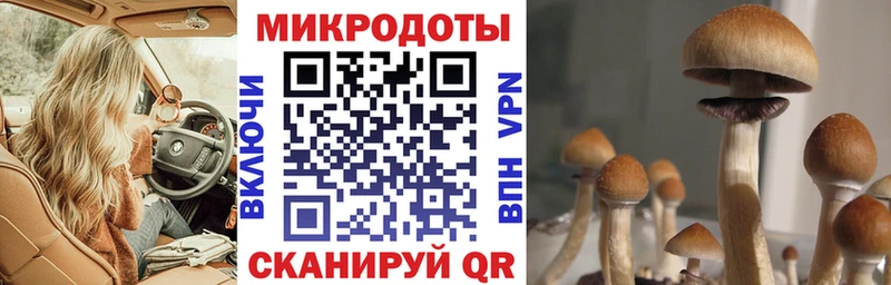 Купить закладки  Малоярославец  Галлюциногенные грибы прущие грибы 